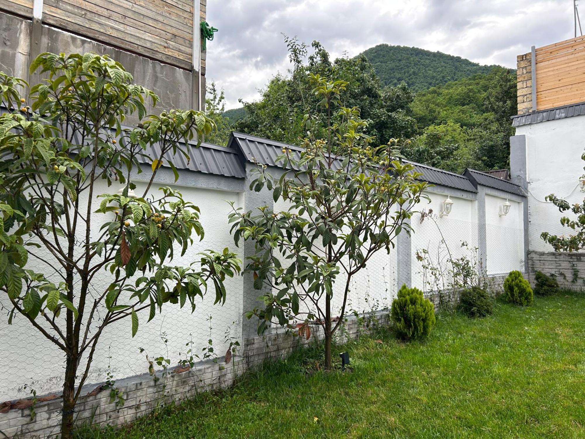 Qafqaz Mountside Chalet Gabala Exteriör bild